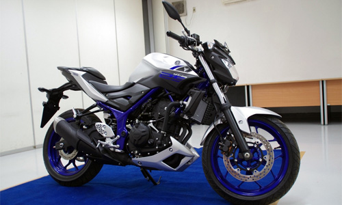 Ra mắt Yamaha MT-25 giá khoảng 75 triệu đồng - 1