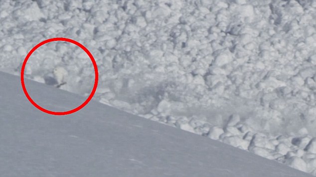 Video: Chú thỏ thoát chết thần kỳ trong trận lở tuyết - 3