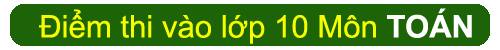 Cập nhật đáp án đề thi vào lớp 10 môn Toán và Ngoại ngữ năm 2015 - 2