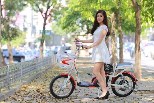 Bí quyết chọn xe đạp điện chính hãng giá tốt - 3