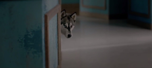 Thích thú với MV cổ tích của nhóm "hoàng tử" 2PM - 4