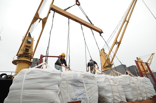 Đưa giá thấp nhất, VN vẫn trượt thầu 100.000 tấn gạo cho Philippines - 1