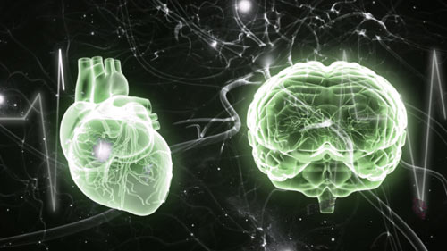 Vén màn bí mật xe đạp điện AIMA SAHARA - 4