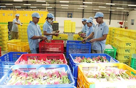 Trung Quốc muốn mua nông sản Việt Nam qua sàn - 1