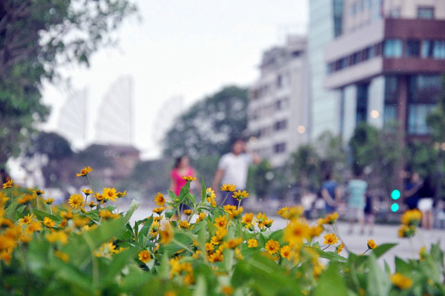 Ngắm hàng ghế gỗ 100 tuổi trên phố đi bộ đẹp nhất VN - 18