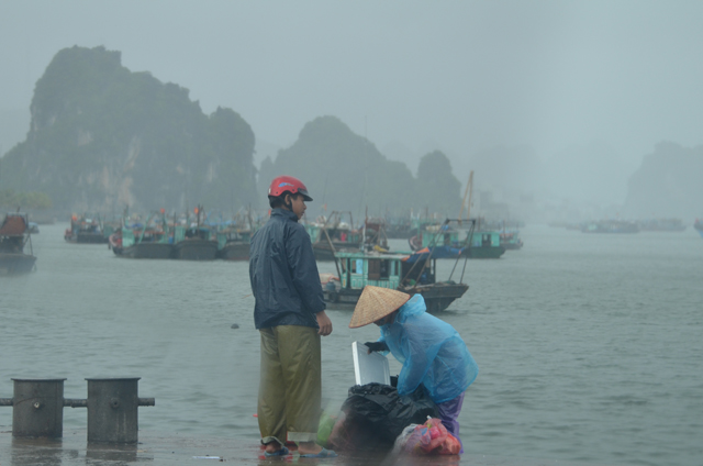 Bão số 1 áp sát, Quảng Ninh mưa lớn, gió giật cấp 9 - 6