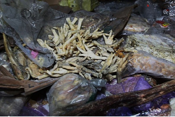 TQ: Suýt ngất vì thịt thối đông lạnh 40 năm - 3