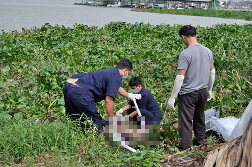 Phát hiện xác chết đã phân hủy trên sông Đồng Nai - 1