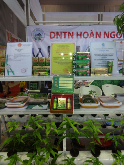 Trà Hoàn Ngọc 7 Nga Tây Ninh - Dược liệu quý cho sức khỏe - 3