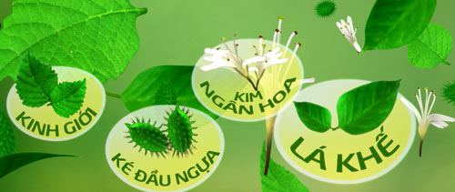 Dị ứng, sẩn mề đay: Đừng đổ lỗi hoàn toàn cho gan - 2