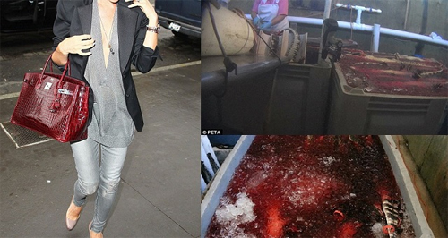 Sự thật đẫm máu đằng sau chiếc túi Hermes bạc tỉ - 2