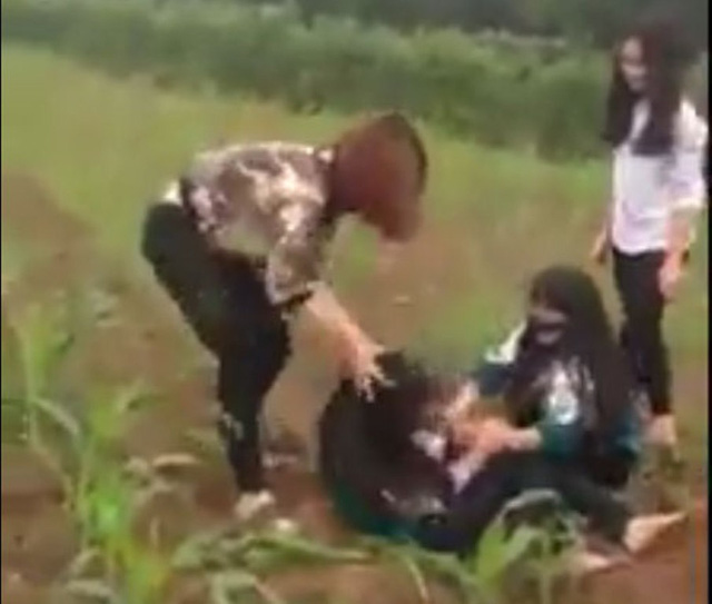 Xôn xao clip nữ sinh bị đánh hội đồng giữa cánh đồng ngô - 1