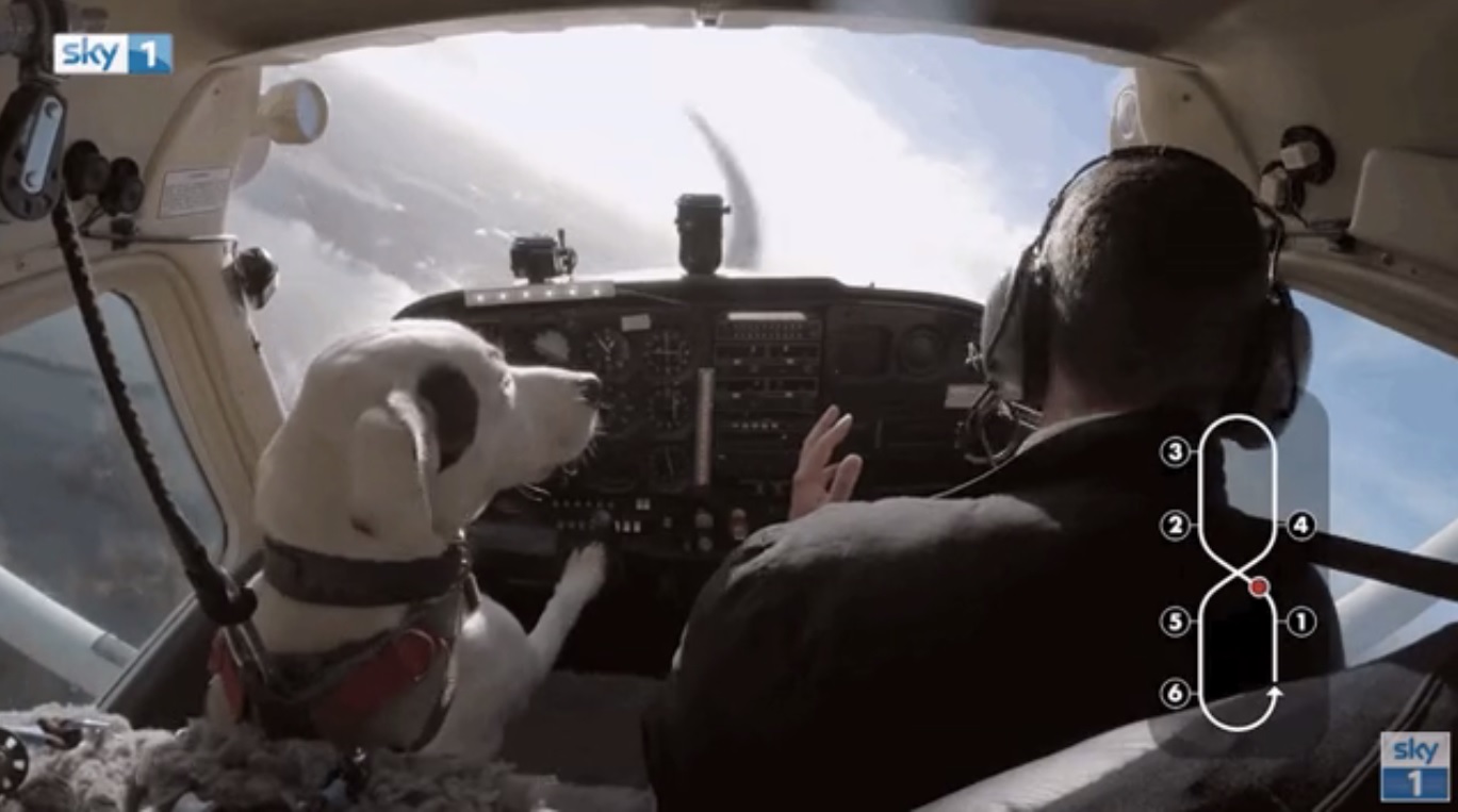 Xem chó lái máy bay ở Anh - 1