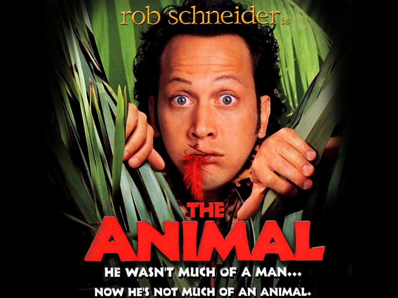 Trailer phim: The Animal - 1