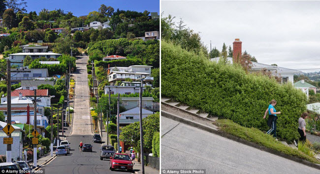 Phố Baldwin ở Dunedin, New Zealand, là con đường có độ dốc lớn nhất thế giới. Đoạn đường dài 350m có điểm thấp nhất cách mặt nước biển 30m, trong khi điểm cao nhất cách mặt nước biển 100m.