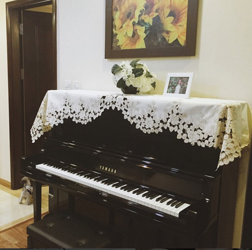 Cuộc sống nhung lụa đáng mơ ước của á hậu Tú Anh - 3