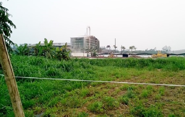 Nổ ở nhà máy sắn Nghệ An, 5 công nhân bị bỏng nặng - 1