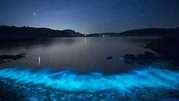 TQ: Nước biển phát sáng xanh kì quái giữa đêm - 1