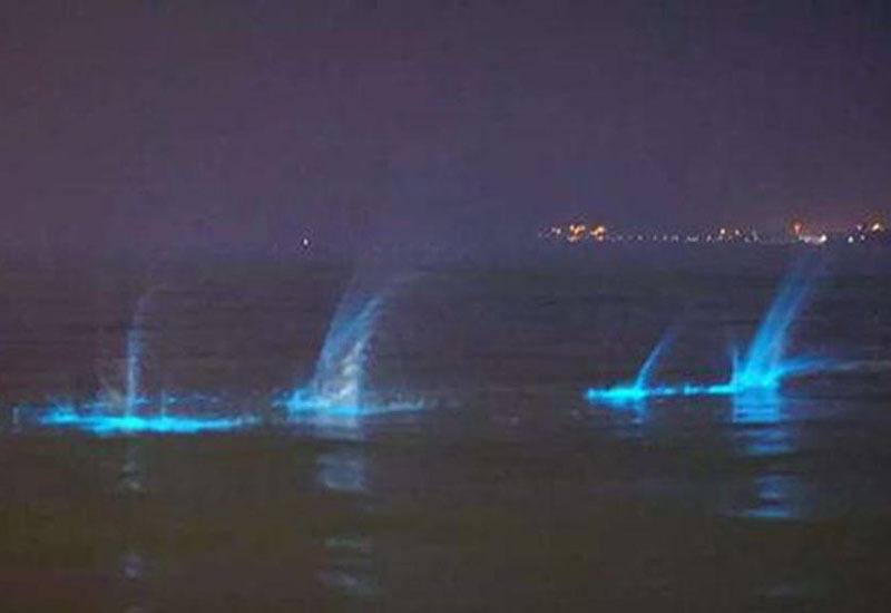 TQ: Nước biển phát sáng xanh kì quái giữa đêm - 3