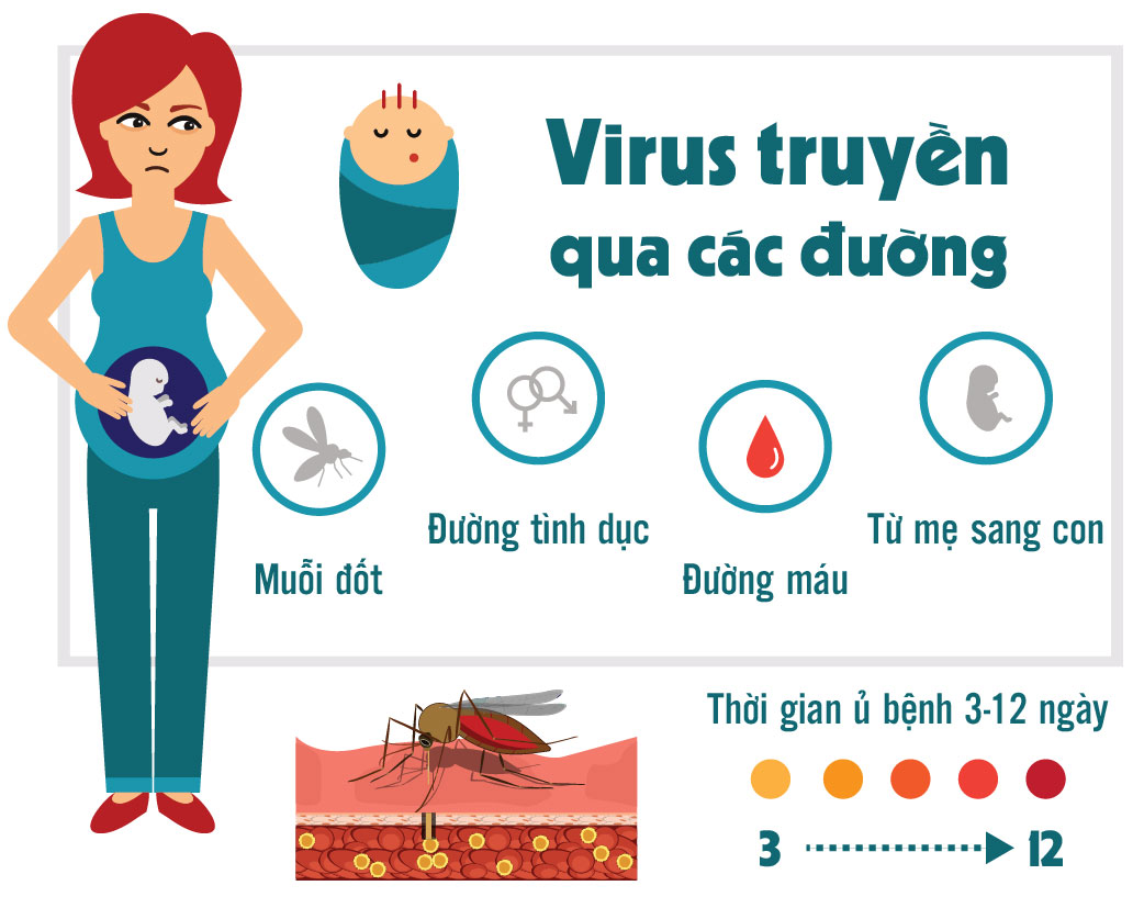 Cach phong tranh Virus Zika an nao nguoi