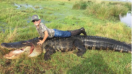 Bắt cá sấu nặng gần 300 kg ngay trong ao nhà - 1