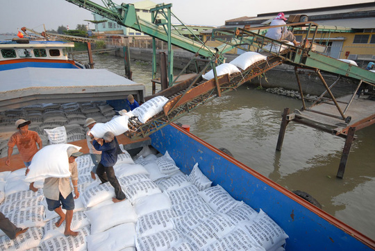 Việt Nam cạnh tranh Campuchia xuất khẩu gạo vào EU - 1