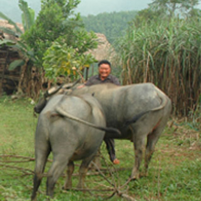 Hành trình “trả nợ đời” của vợ chồng tỷ phú một thời lầm lạc - 2