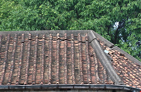 Nhà thờ cổ Sài Gòn: Phục hồi vẻ đẹp nguyên sơ nhà thờ Đức Bà - 4