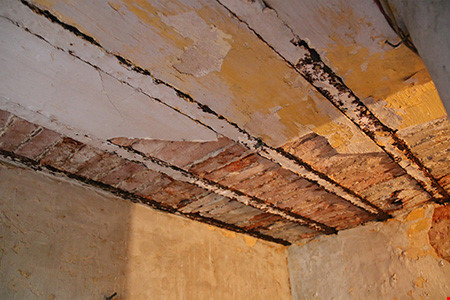 Nhà thờ cổ Sài Gòn: Phục hồi vẻ đẹp nguyên sơ nhà thờ Đức Bà - 6