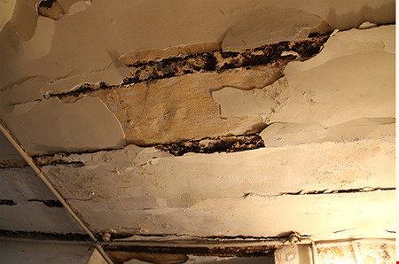 Nhà thờ cổ Sài Gòn: Phục hồi vẻ đẹp nguyên sơ nhà thờ Đức Bà - 7