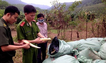 21.972kg măng "ngâm" diêm sinh - 1