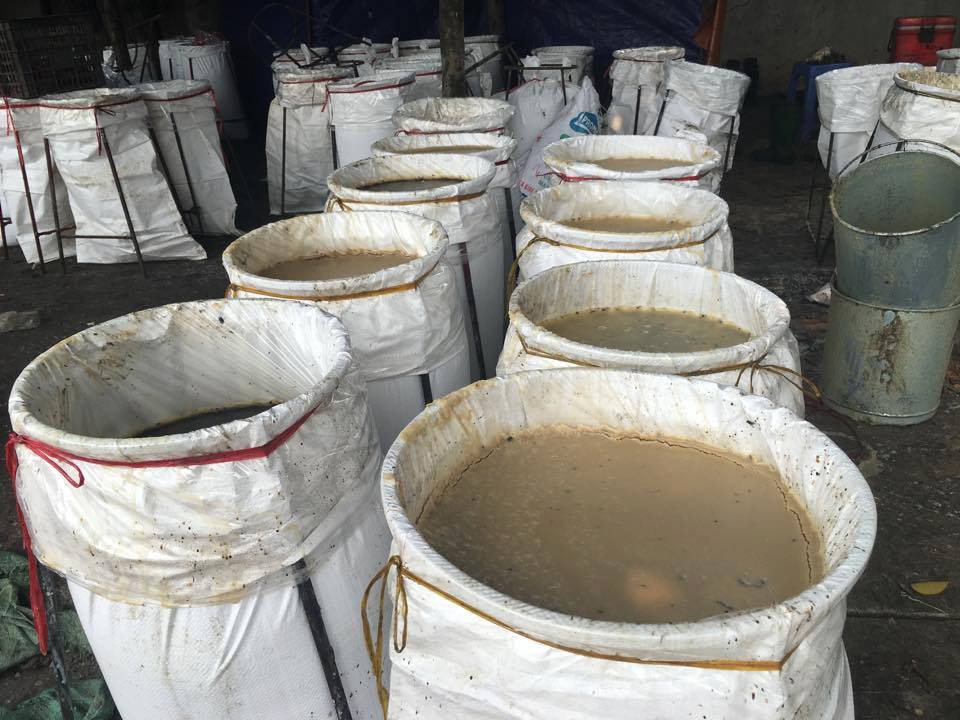 Đột kích cơ sở sản xuất "mỡ ruồi bâu" ở Hà Nội - 3