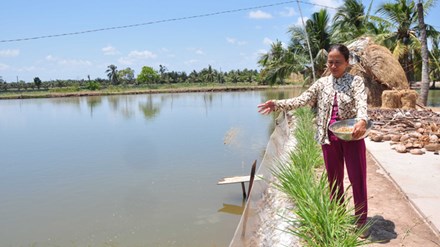 Mong nước mặn để… làm giàu - 1