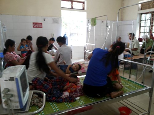Ong vỡ tổ tấn công cô giáo và 17 học sinh ở Nghệ An - 1