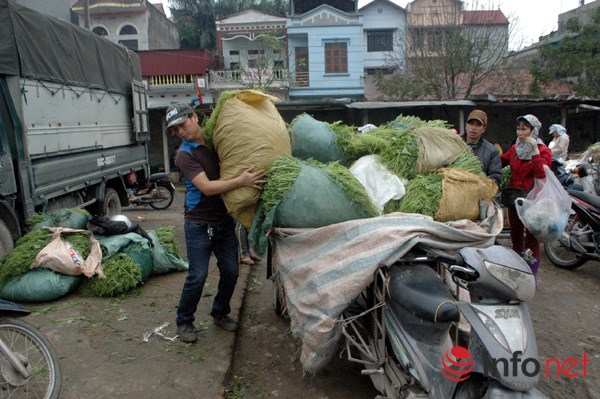 Rau an toàn không kiểm soát chặt, 20 năm chưa có ai ngộ độc! - 3