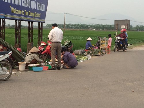 Dân Hà thành "săn" hàng quê, chuộng chợ cóc - 1