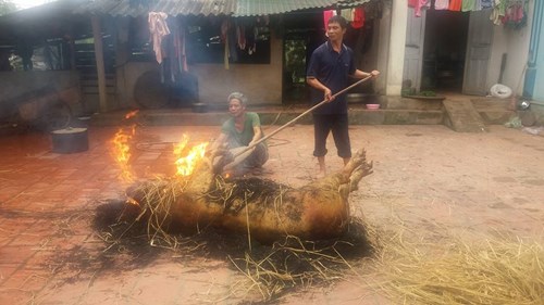 Dân Hà thành "săn" hàng quê, chuộng chợ cóc - 10