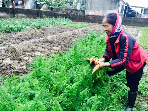 Dân Hà thành "săn" hàng quê, chuộng chợ cóc - 6