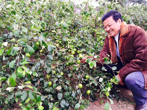 Dân Hà thành "săn" hàng quê, chuộng chợ cóc - 8