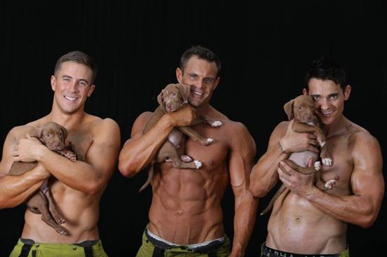 Úc: Lính cứu hỏa cơ bắp lực lưỡng chụp ảnh cùng cún cưng - 1