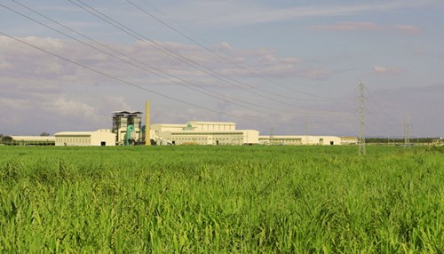 HAGL tuyển dụng hàng ngàn lao động sang Lào, Campuchia - 10