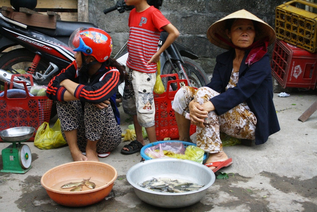 Dân điêu đứng vì “biển chết” bất thường - 3