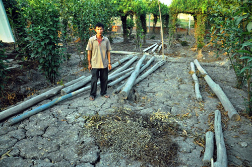 Hàng xóm quán Xin Chào bị khởi tố: "Tôi chỉ dựng chòi nuôi ngỗng" - 1