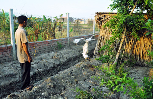Hàng xóm quán Xin Chào bị khởi tố: "Tôi chỉ dựng chòi nuôi ngỗng" - 2