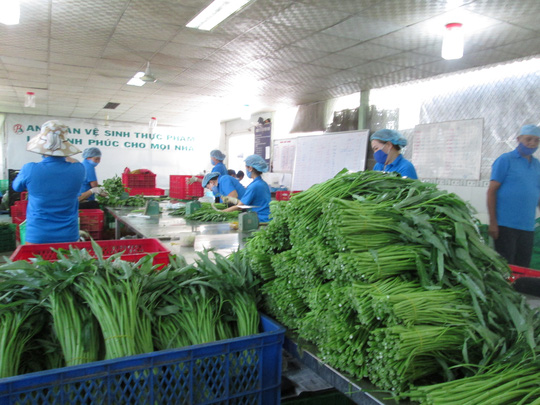 TP HCM sẽ quản lý thực phẩm từ gốc đến ngọn - 2