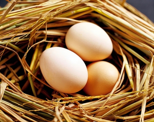 Ăn trứng gà với các thực phẩm này là tự gây hại cho sức khỏe - 1