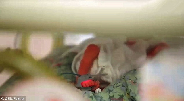 Ba Lan: Mẹ chết não 2 tháng vẫn sinh con khỏe mạnh - 1