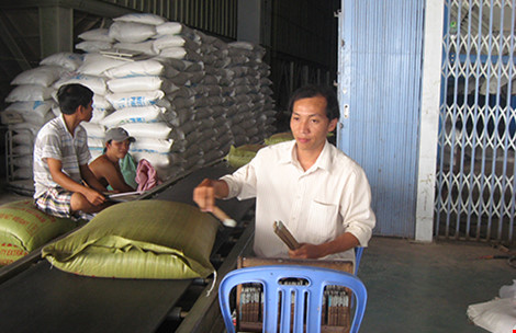 Muốn xuất khẩu gạo phải lập công ty tại… Singapore - 1