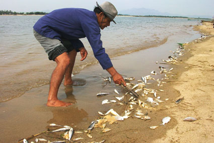Vụ cá chết bất thường: Thủ tướng chỉ đạo hỗ trợ ngư dân - 1