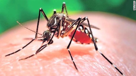 Việt Nam công bố hết dịch Zika - 1